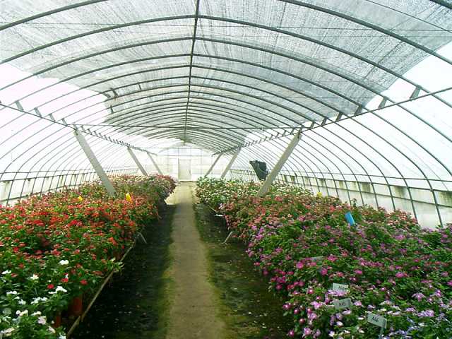 温室