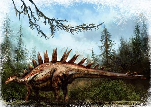 多棘沱江龙身上有17对剑板,对称排列在背部.