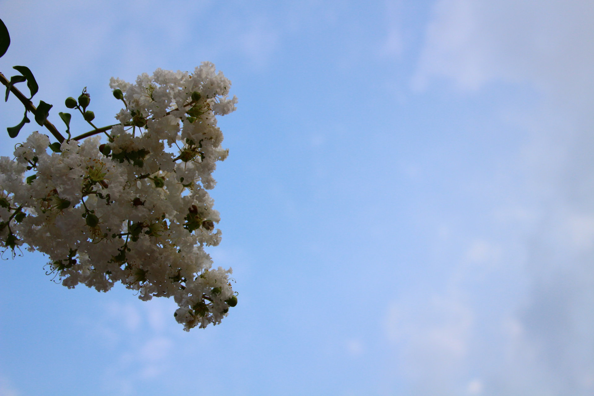 金堂县竹篙镇天气预报今日情况