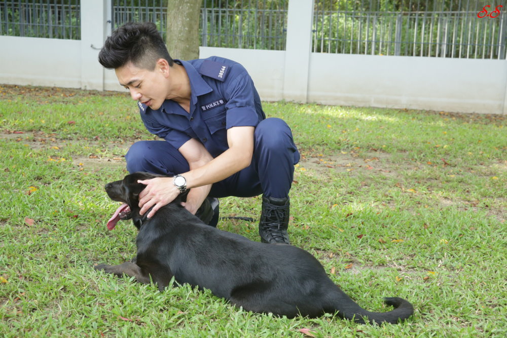 警犬巴打