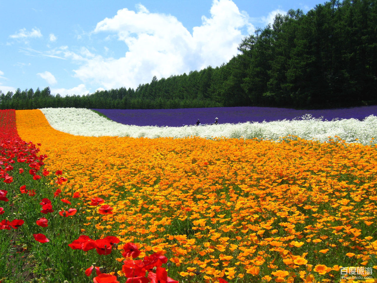  p>北海道(hokkaido),是 a target="_blank" href="/item/日本/111617