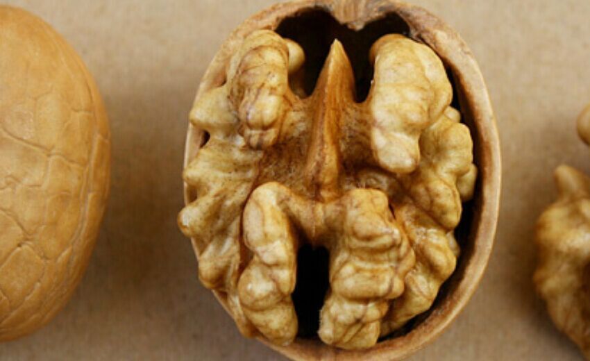  p>胡桃(拉丁学名  i>juglans regia  /i> l. ),俗称核桃 i>.