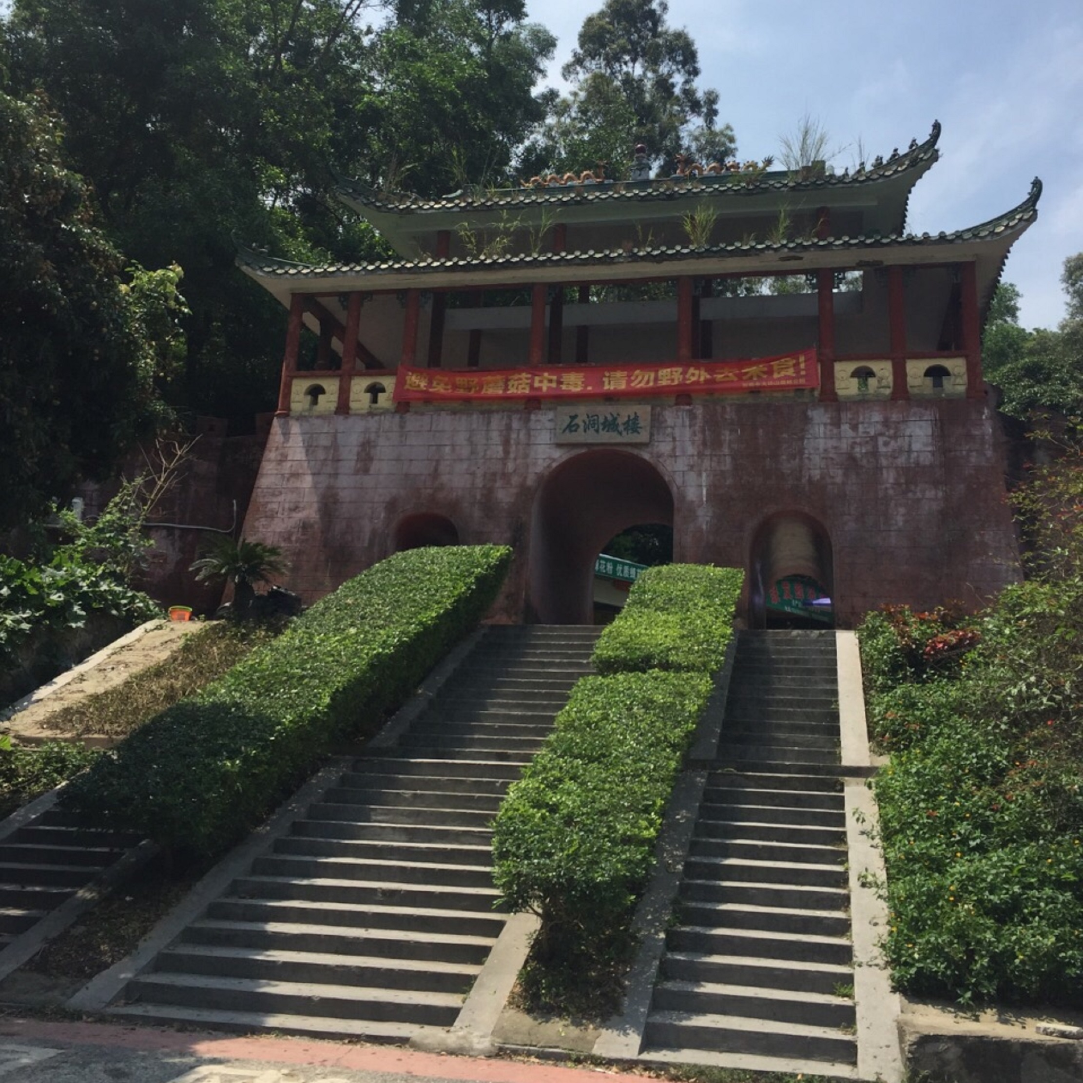 大岭山森林公园