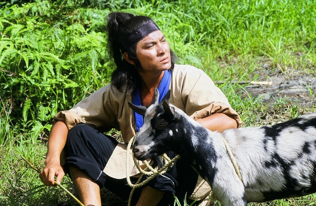 the condor heroes 83