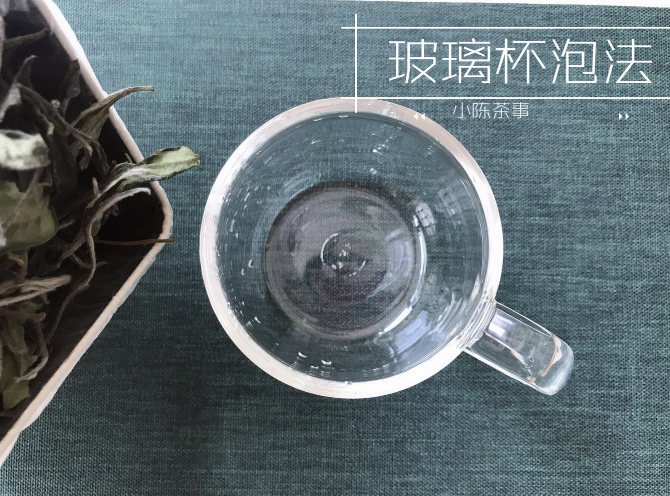 新年元旦宅家喝茶，教你6个玻璃杯泡茶的小技巧，看完轻松学起来_百科TA说