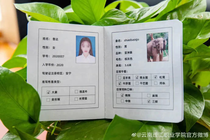 shacvjx9q9fk">云南理工职业学院在新生报到时会抽取一部分幸运的学生