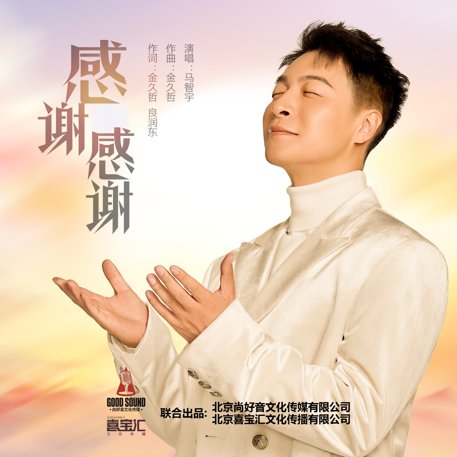 歌曲感谢(歌曲感谢陪伴原唱完整版)
