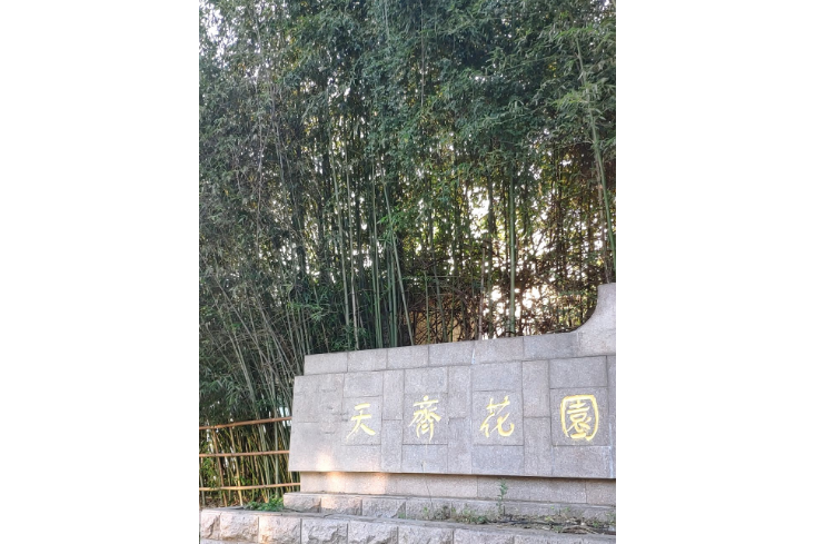  p>天齐花园位于徐州市泉山区滨湖,由徐州鑫美国际房地产有限公司建成