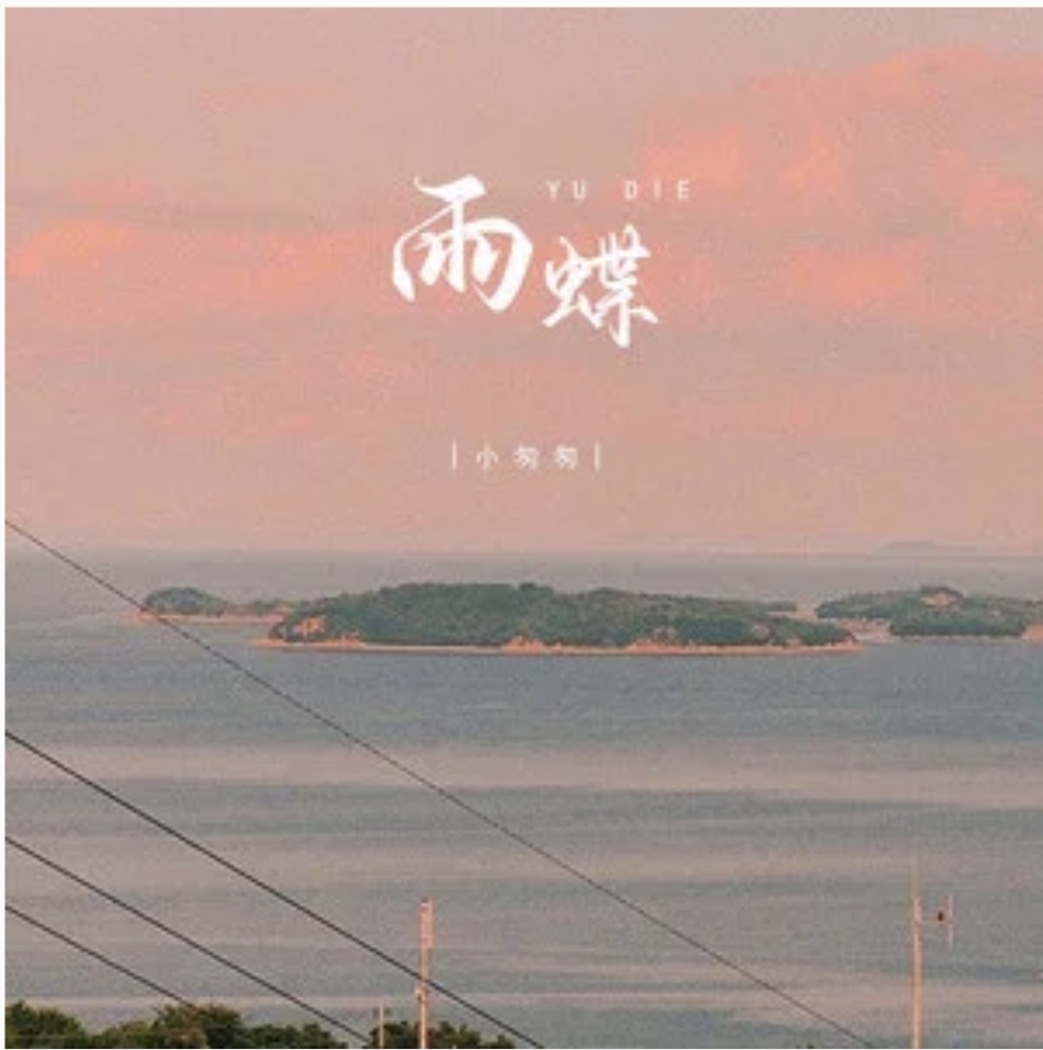 雨蝶