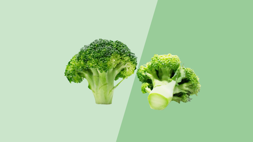绿菜花:以绿花球为产品的一个变种