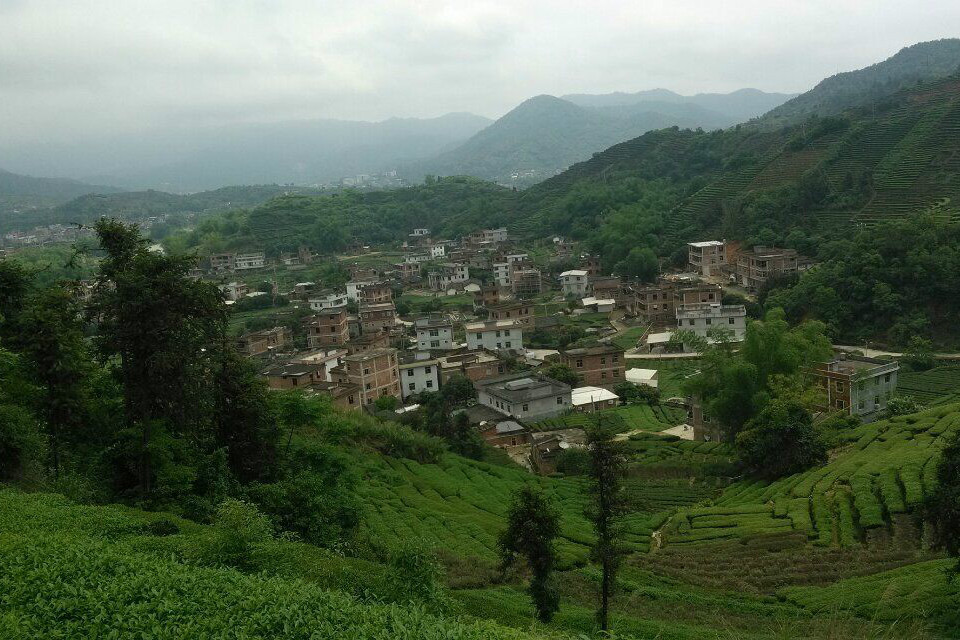  p> a target="_blank" href="/item/丽山村委