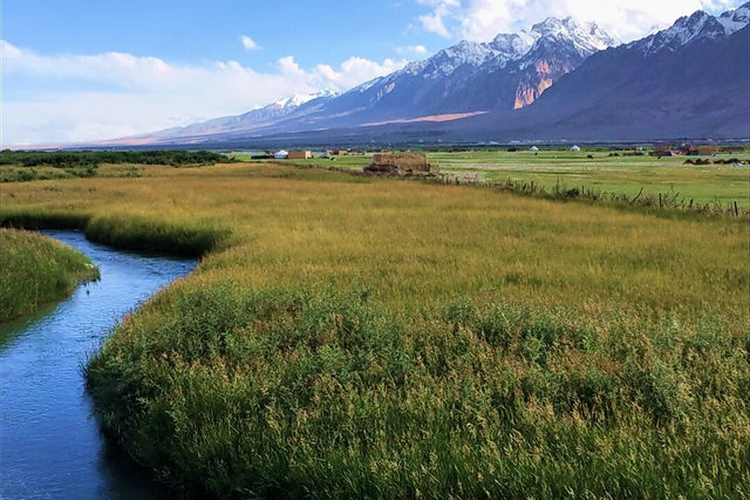 宁夏西华山国家草原自然公园
