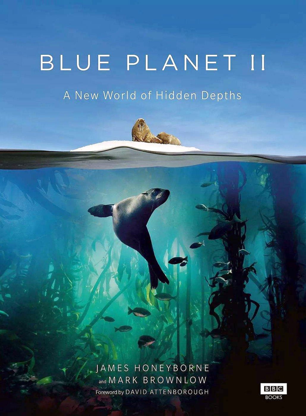  p>《蓝色星球2》是由英国广播电视中心公司制作的海洋生物纪录片,由 