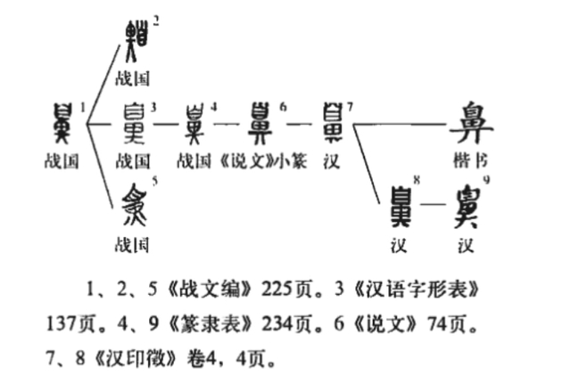 创始人为何叫鼻祖，甲骨文揭开秘密，原来自字本意为鼻_百科TA说