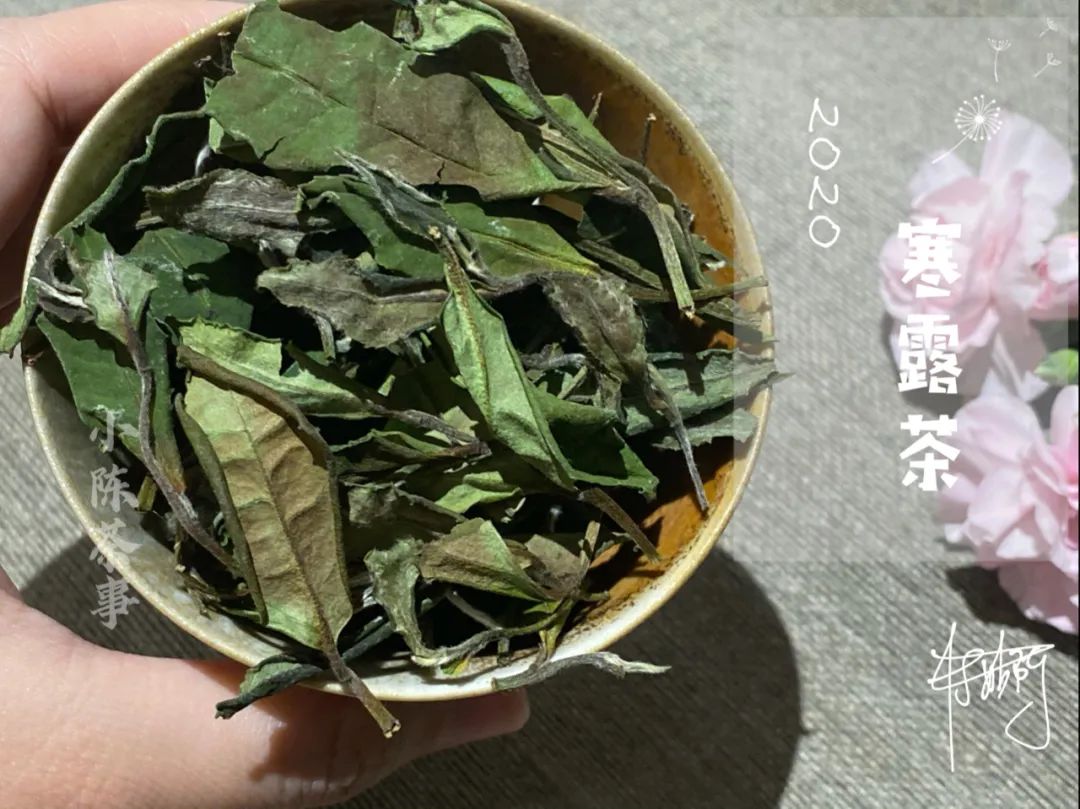 从白茶、岩茶、到红茶，牛年的元宵节，让我们一起茶约黄昏后_百科TA说
