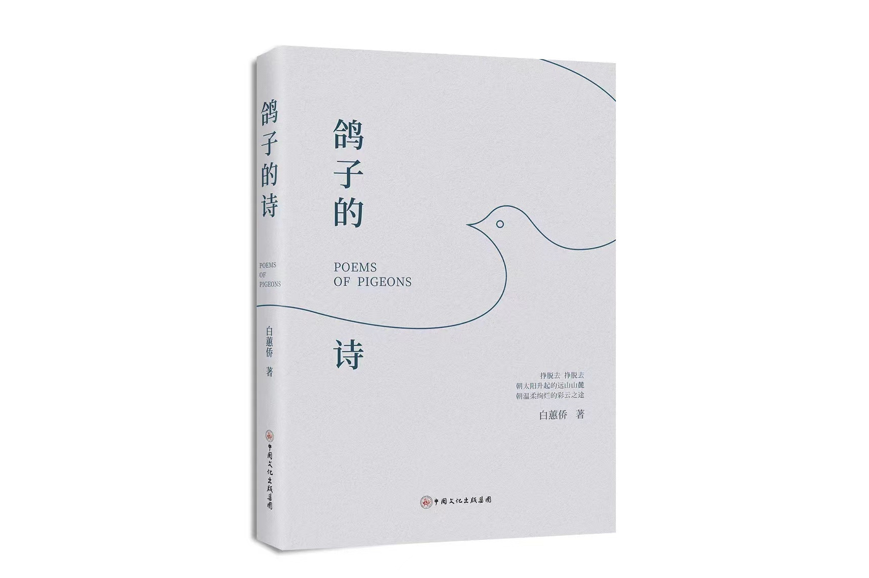 鸽子的诗