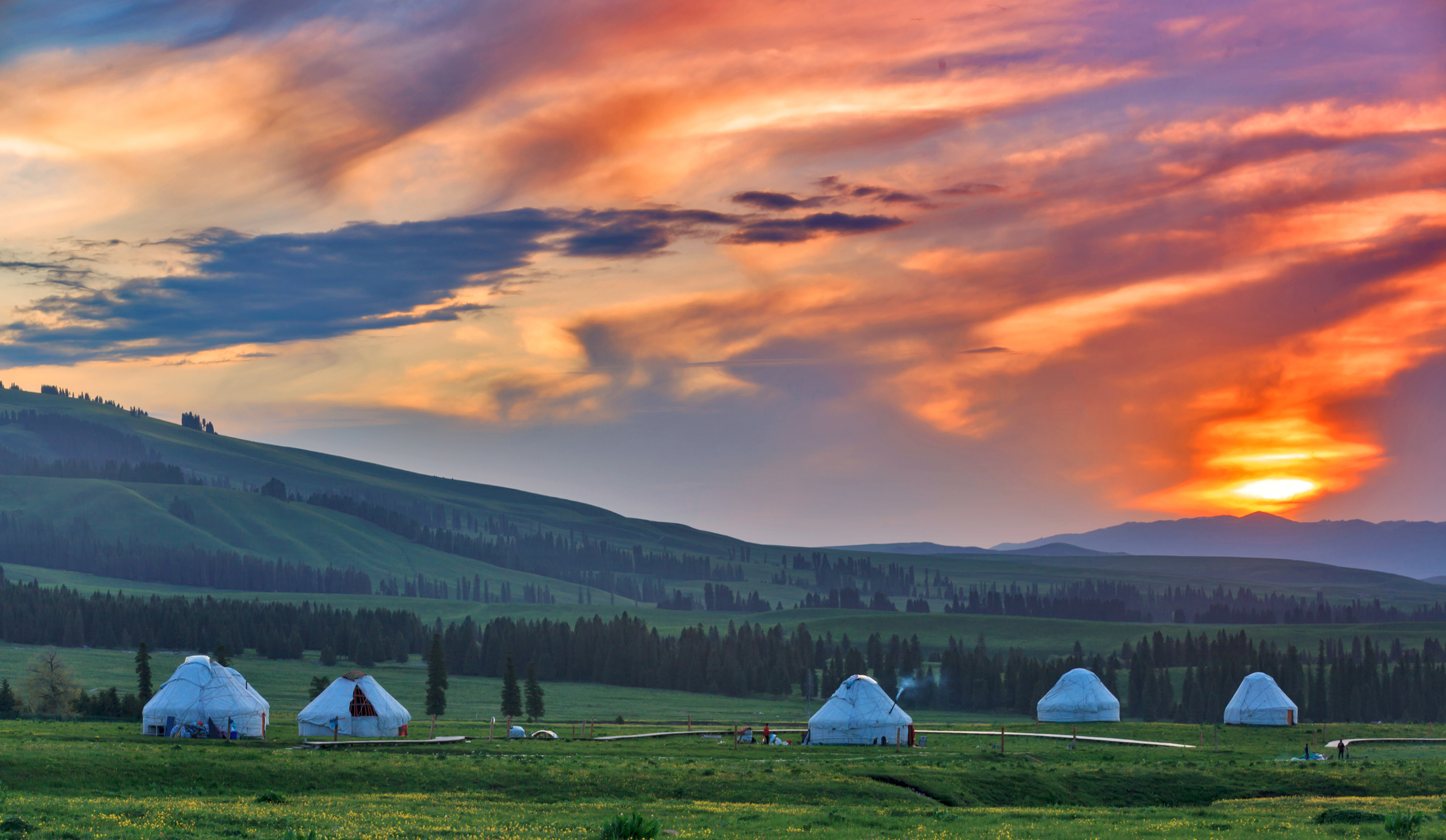 伊犁那拉提草原