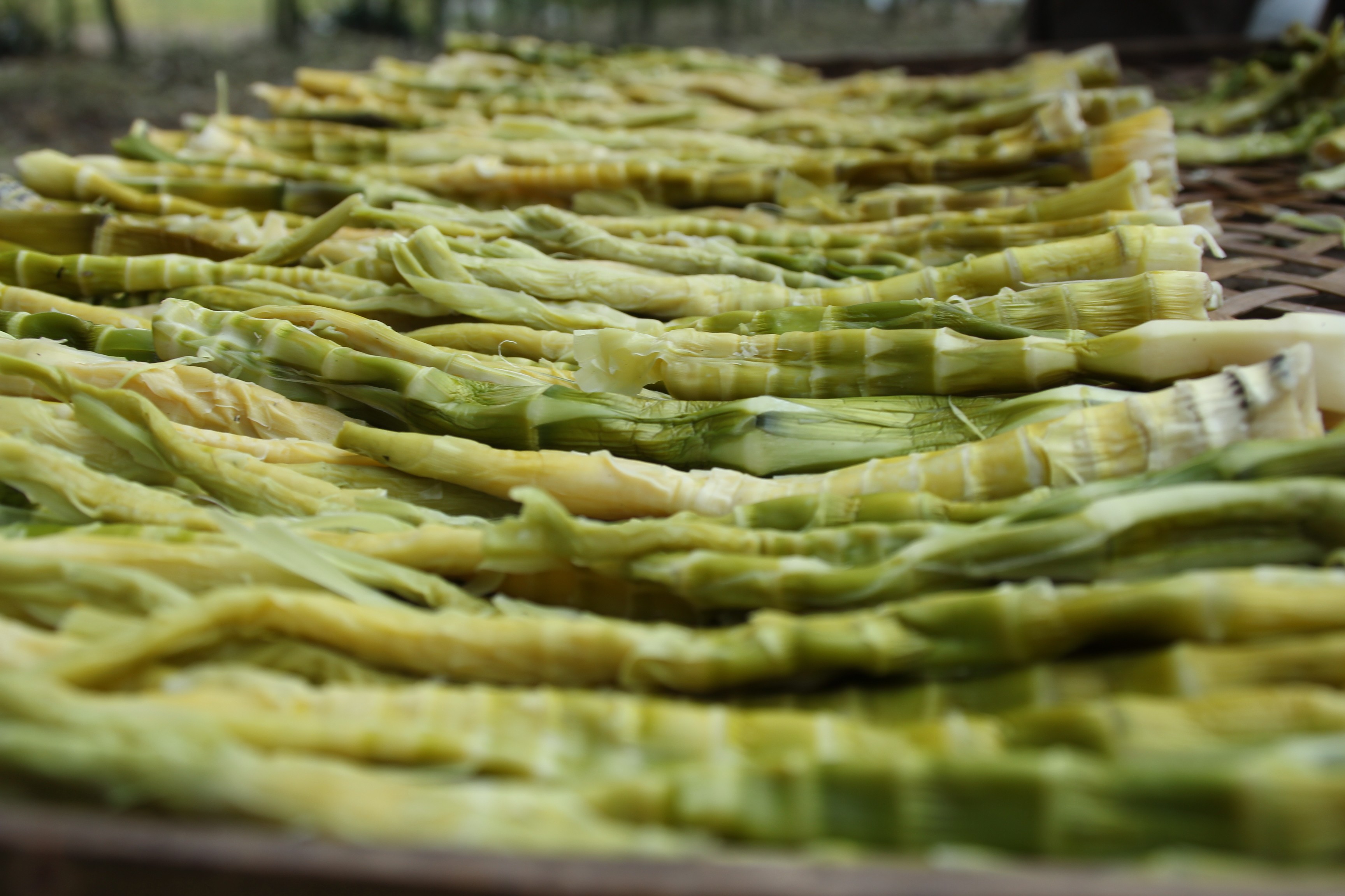 天目笋干,浙江省杭州市<a target="