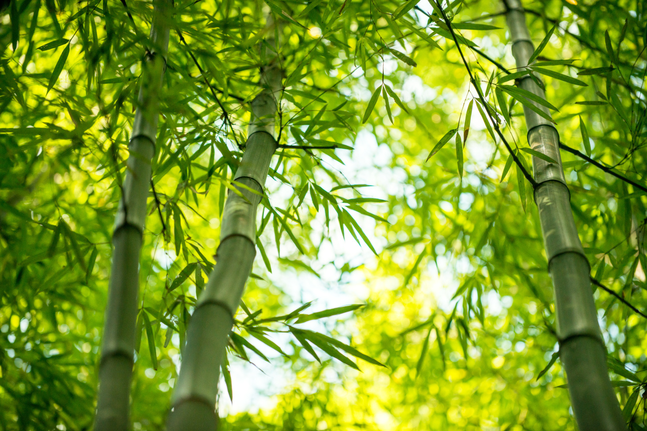 越南，一直摸着中国过河_百科TA说