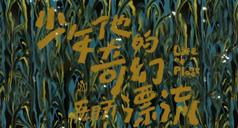 少年他的奇幻漂流