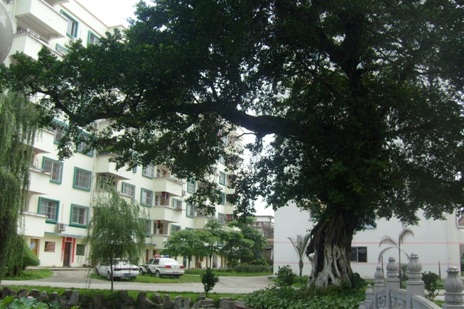  p data-id="gnbl12nvsq">上林县中学坐落于广西中部的 a target="