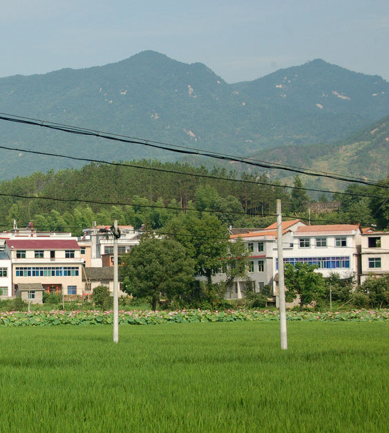  p>地名,黄铁炉村:江西省乐平市众埠镇黄铁炉村,万亩蔬菜基地,隶属
