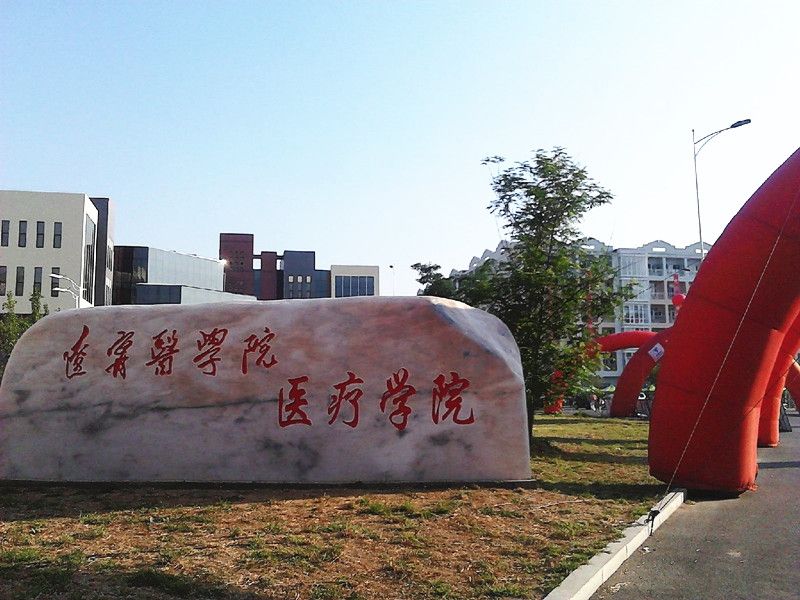  p>锦州医科大学医疗学院( i>medical college of jinzhou medical