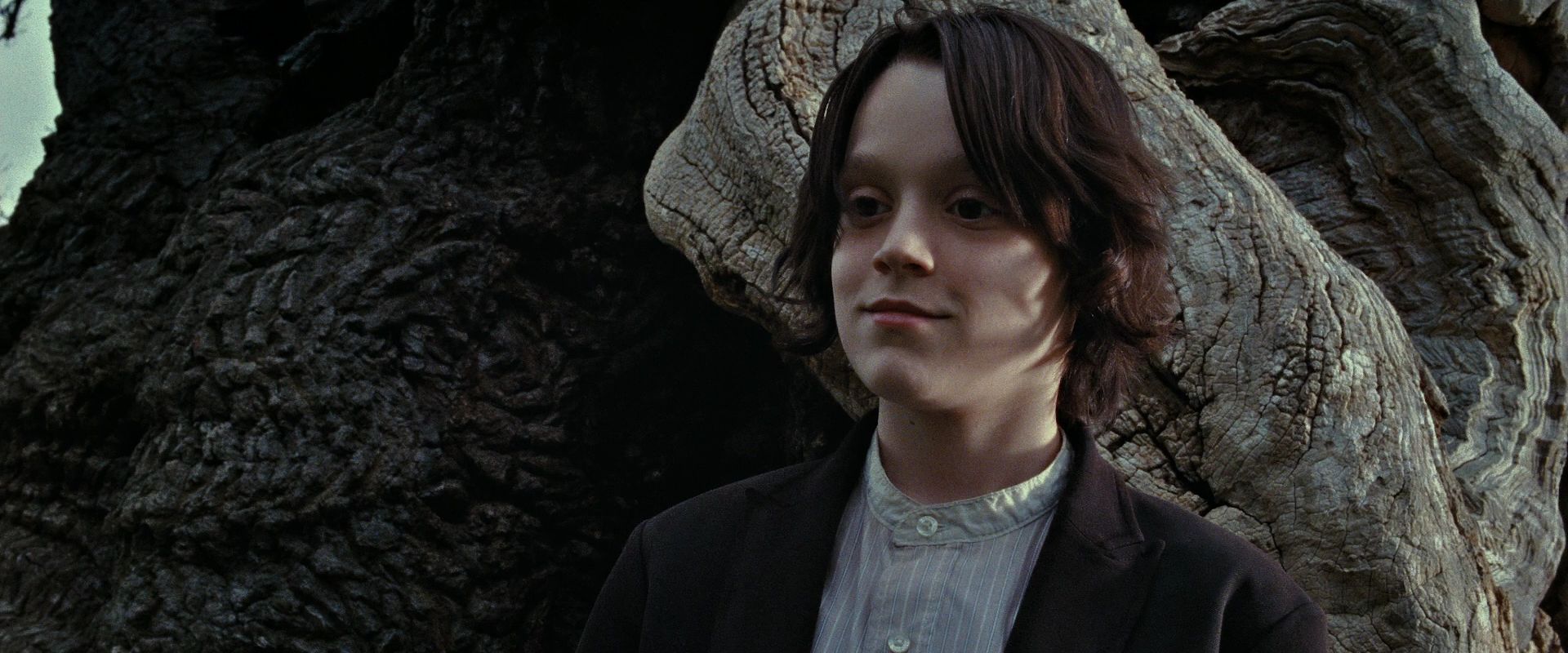  p>西弗勒斯·斯内普(severus snape,1960年1月9日—1998年5月2日),是