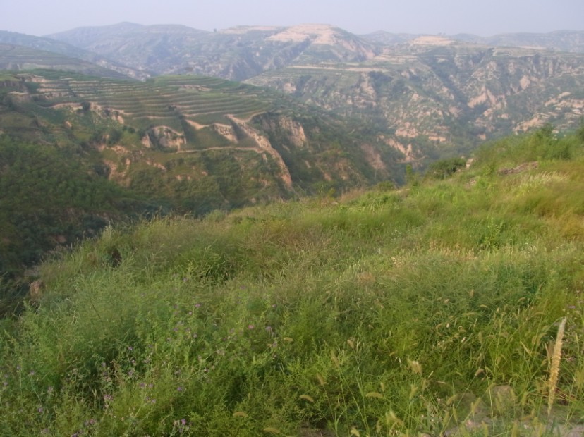 地处陕北文化名县——绥德县的东北部,属于山区