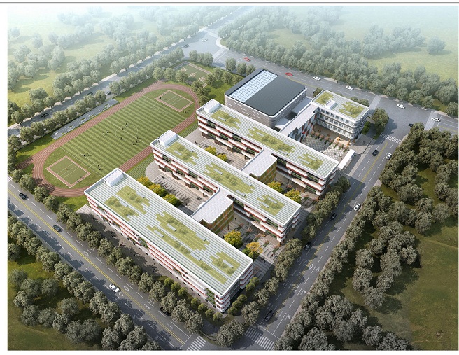 南京市江宁金茂小学