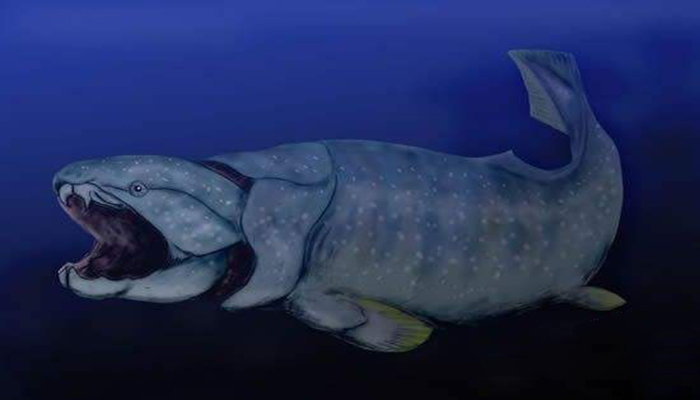  p>邓氏鱼(dunkleosteus terrelli),是一种活于泥盆纪时代(距今约3.