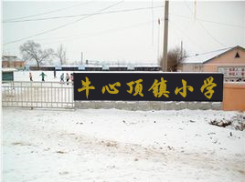 牛心顶镇中心小学