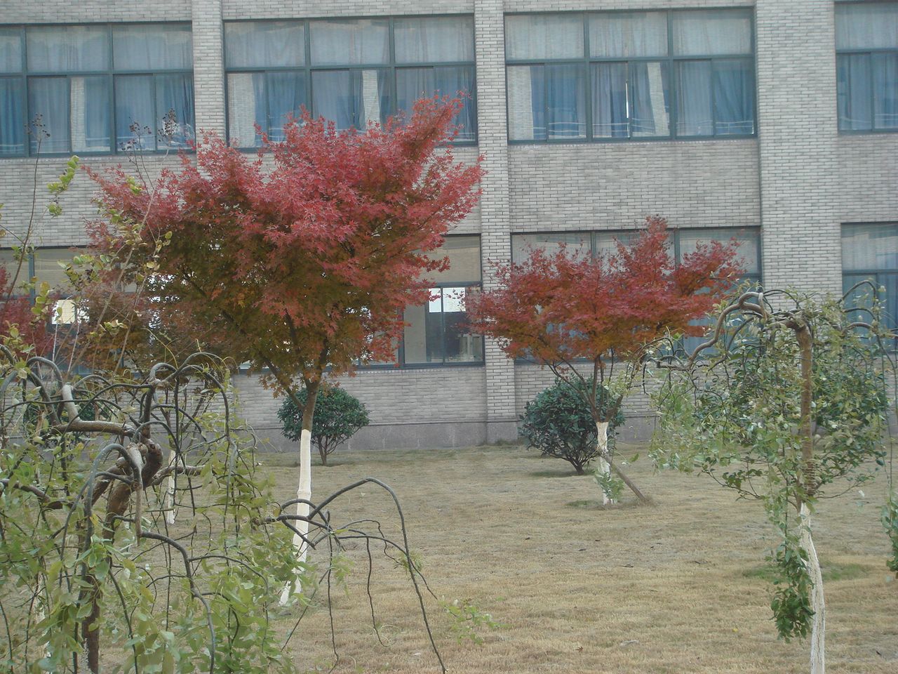 平湖市乍浦高级中学