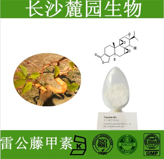 雷公藤内酯醇