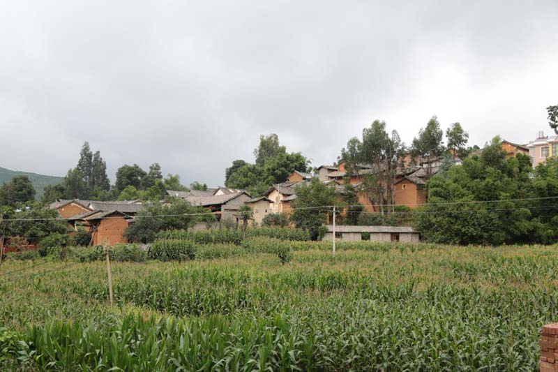 干海子村