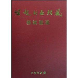 崛起的西北风:杨斌塑画