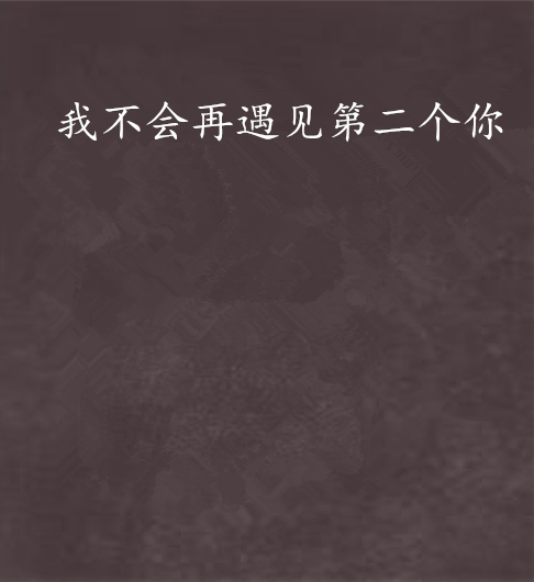 我不会再遇见第二个你