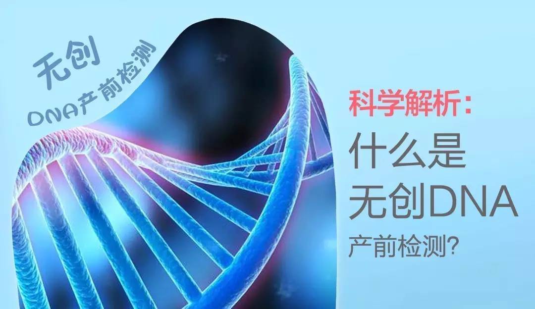 无创dna