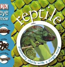 reptile