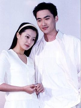 汉城奇缘20碟装完整版中韩双语中文字幕(vcd)