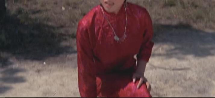 《大侠复仇记》是由王元龙执导,youli li,王元龙主演的一部电影