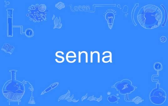 senna_百度百科