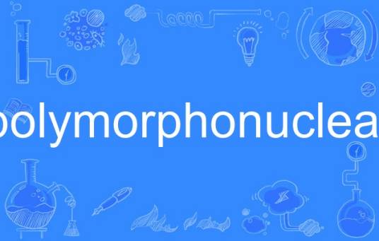 polymorphonuclear_百度百科
