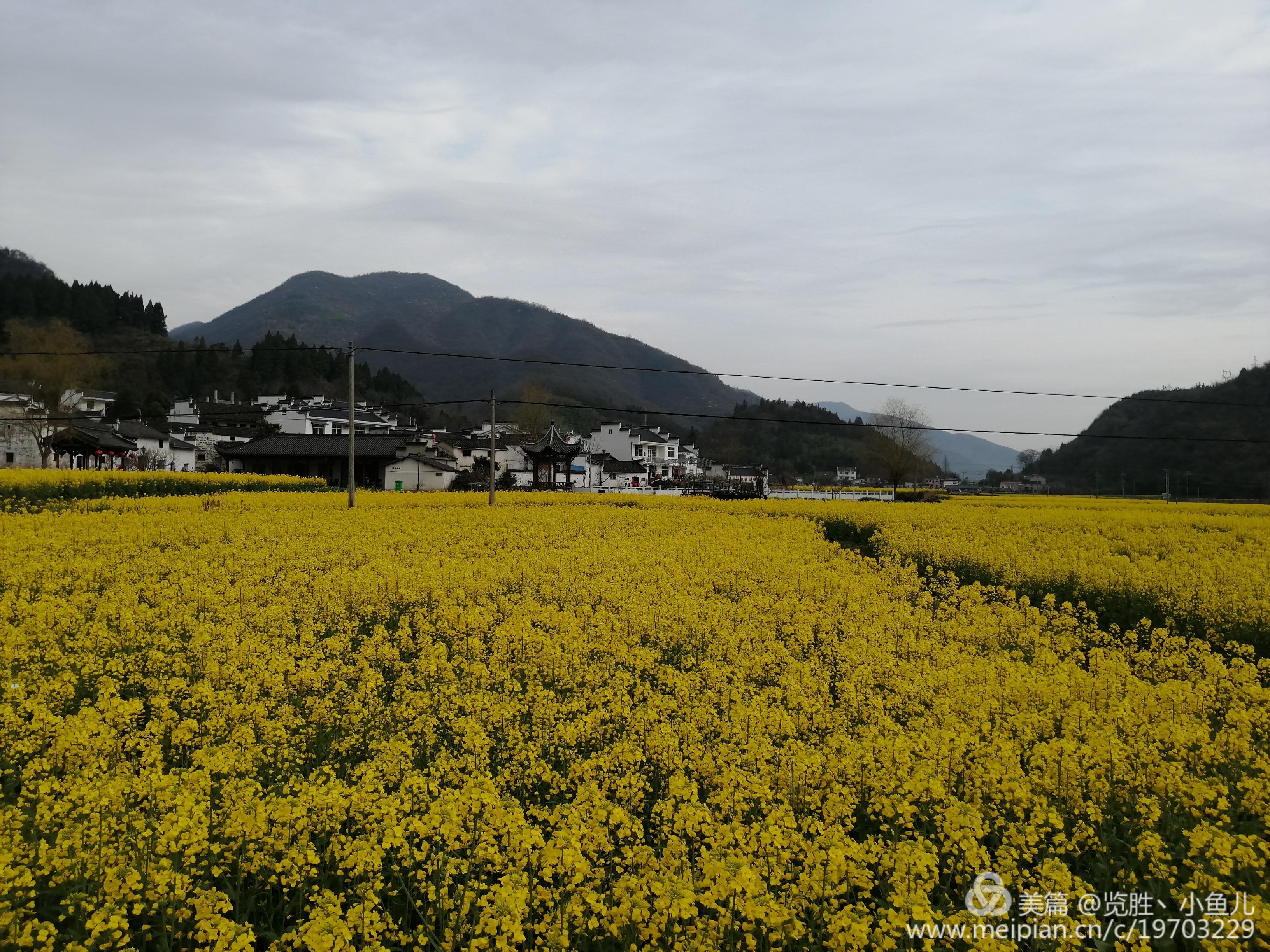  p>七都镇,隶属于安徽省池州市石台县,地处 a target="_blank" href="