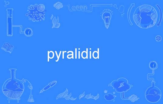 pyralidid_百度百科