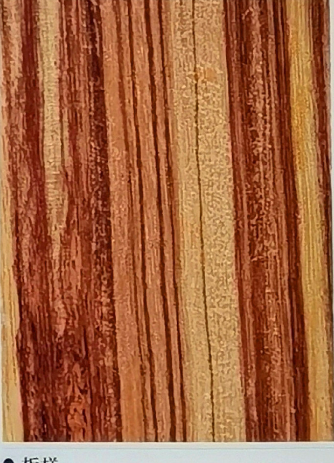  p> span class="ref" data-ctrid="2jv1tyaxaei">赛鞋木豆,拉丁名