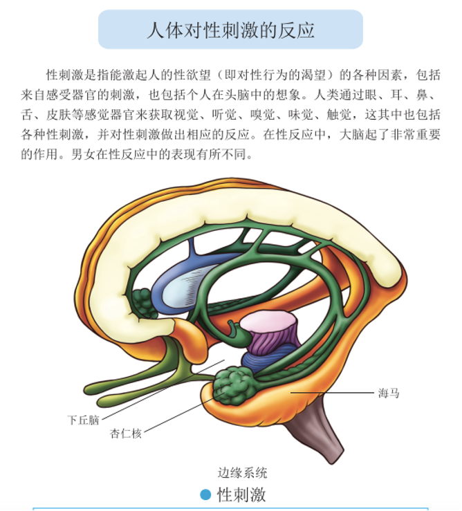  p>性高潮(sexual climax)是指在性反应周期过程中出现的一种逐渐升高