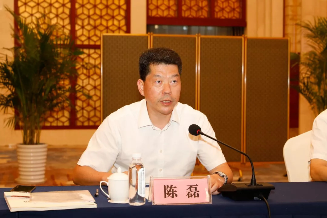 陈磊