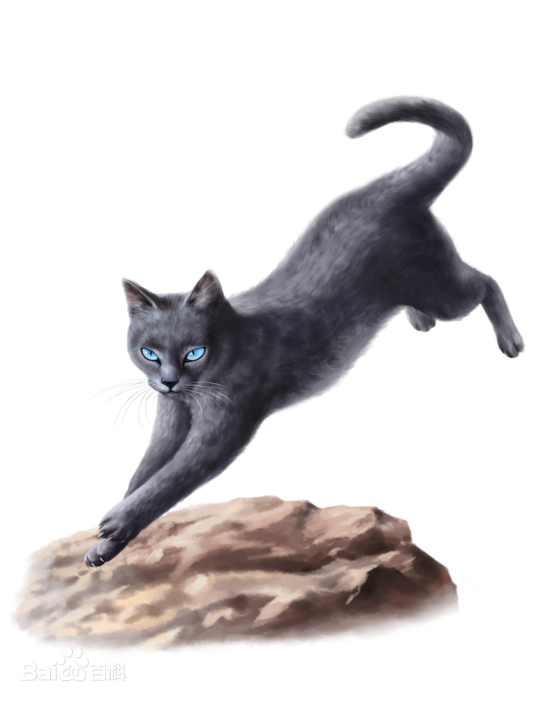 鸦羽（小说《猫武士》中登场的角色）_百度百科