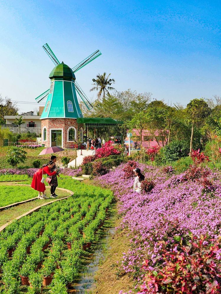  p data-id="sawrjgda2kyk">香草田园,坐落于海南省定安县龙湖镇,与